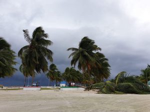 Makunudhoo