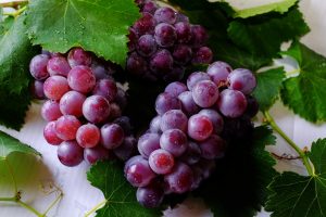 Grapes-Every-Day