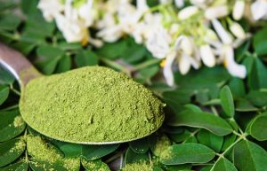 What-Are-The-Different-Ways-To-Take-Moringa-Leaves